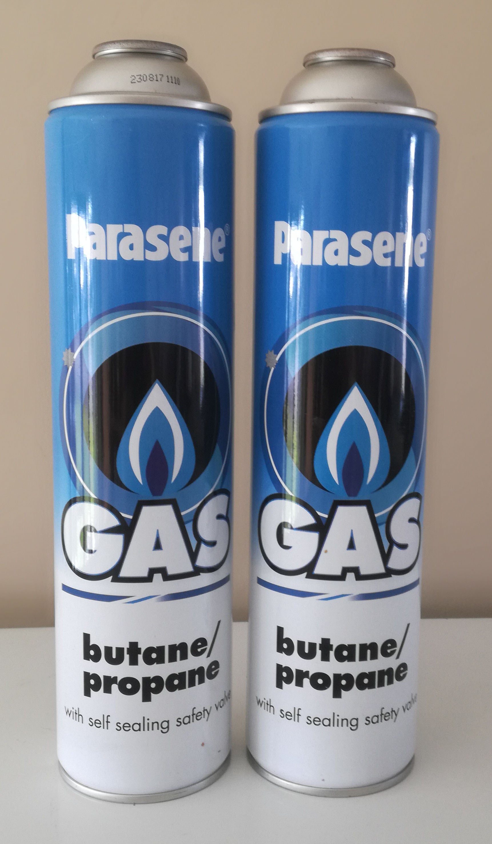 Gas Canister 355g, 2 Pack (2 x 650ml) – chainmakersnz